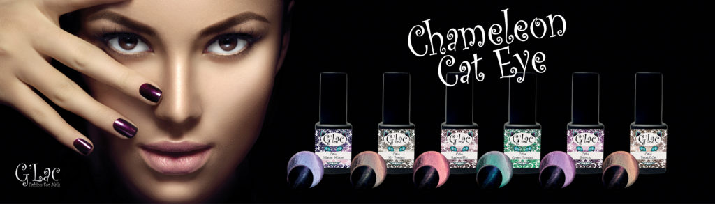 Beauty Concept Store