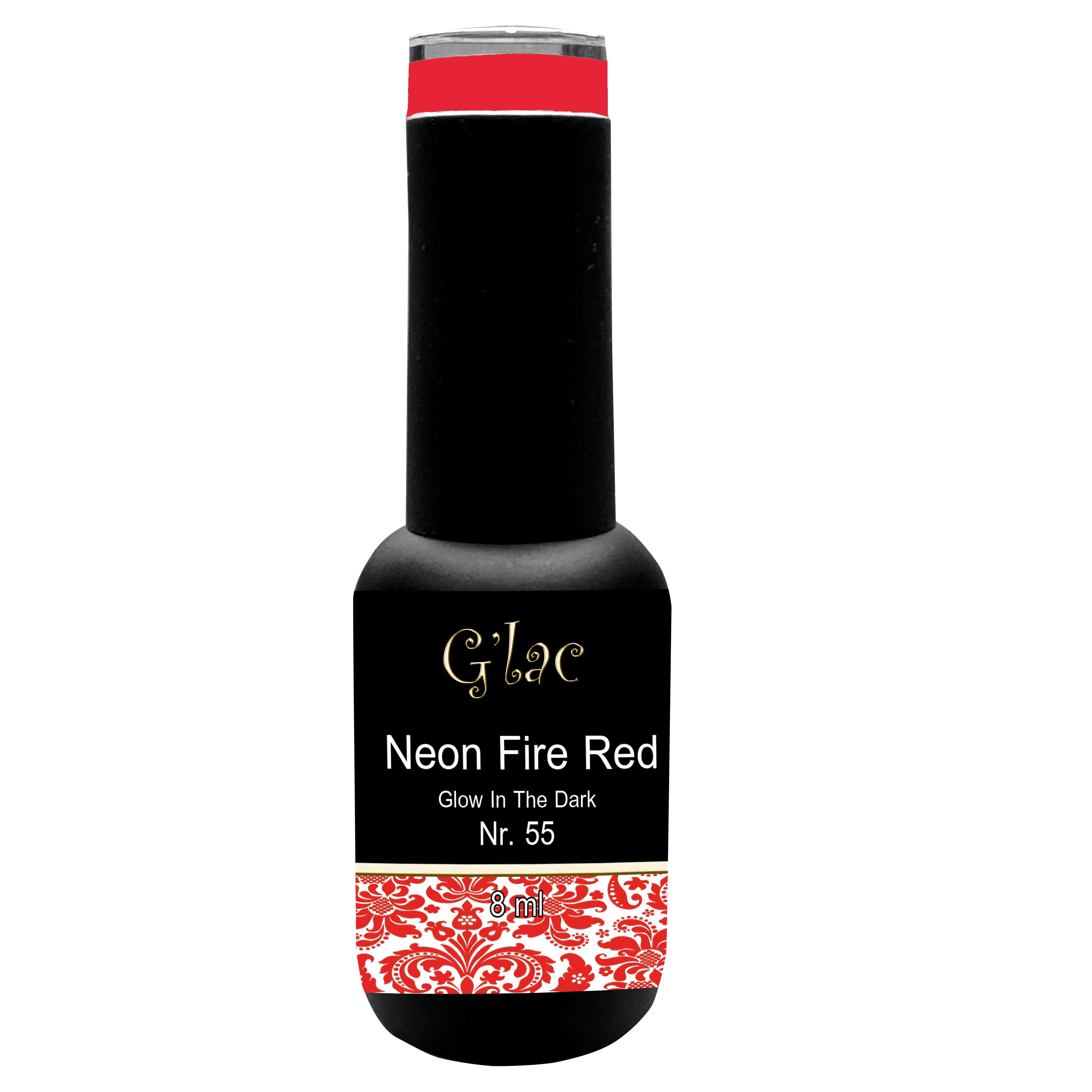 Neon 6-Pack - After Dark Collection - Image 12