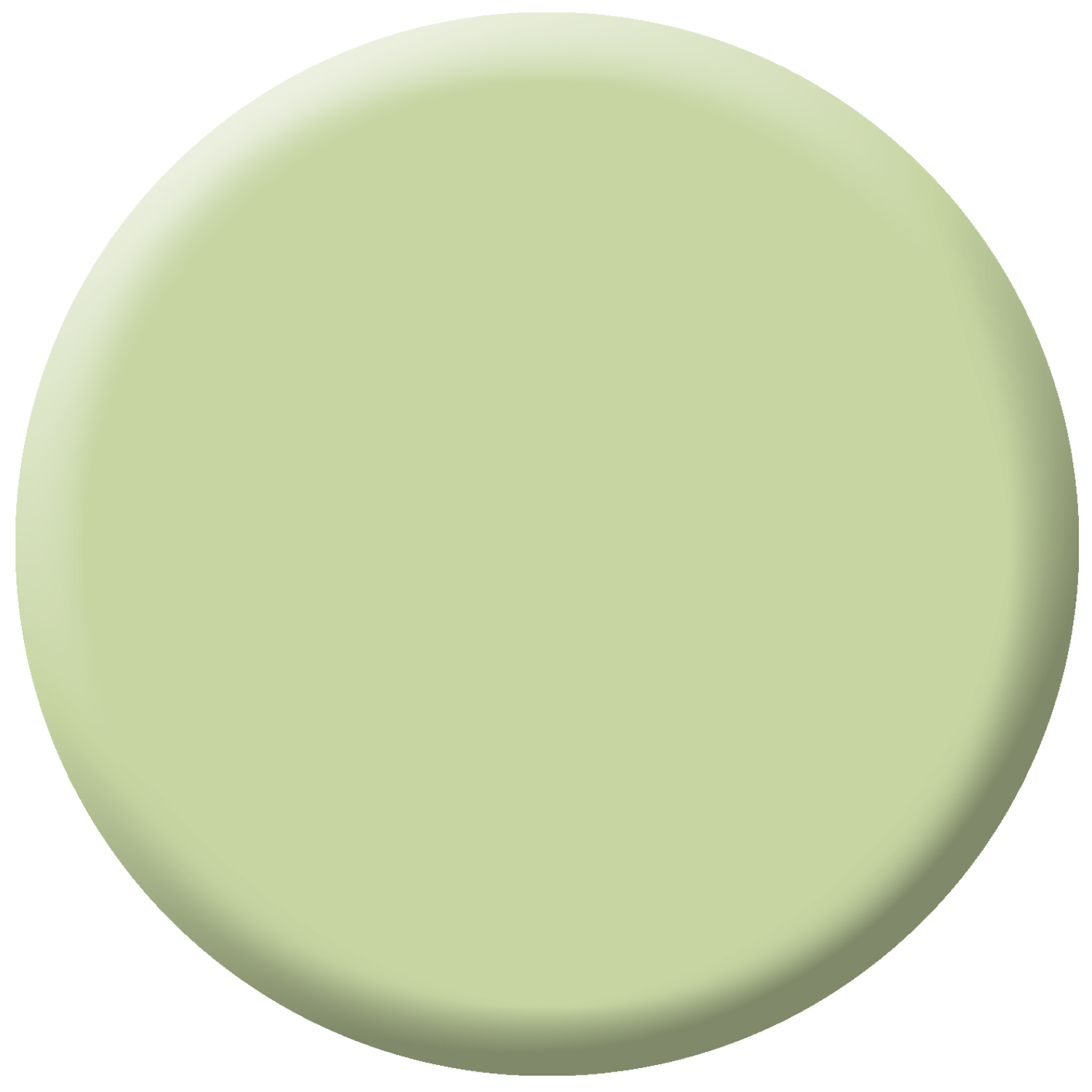 N°62 Pistachio Dream - Image 5