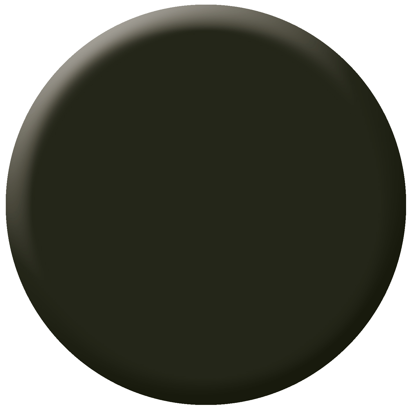 N°71 Dark Olive - Image 3