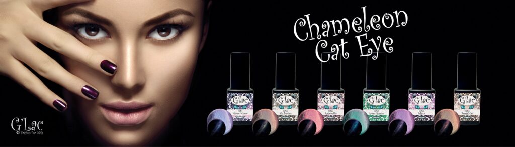 Beauty Concept Store